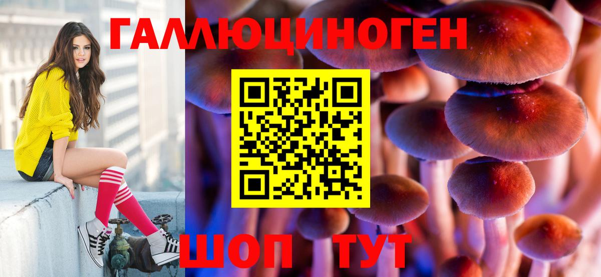Псилоцибиновые грибы мухоморы  Псилоцибиновые грибы мухоморы  Севастополь  Вход с VPN 